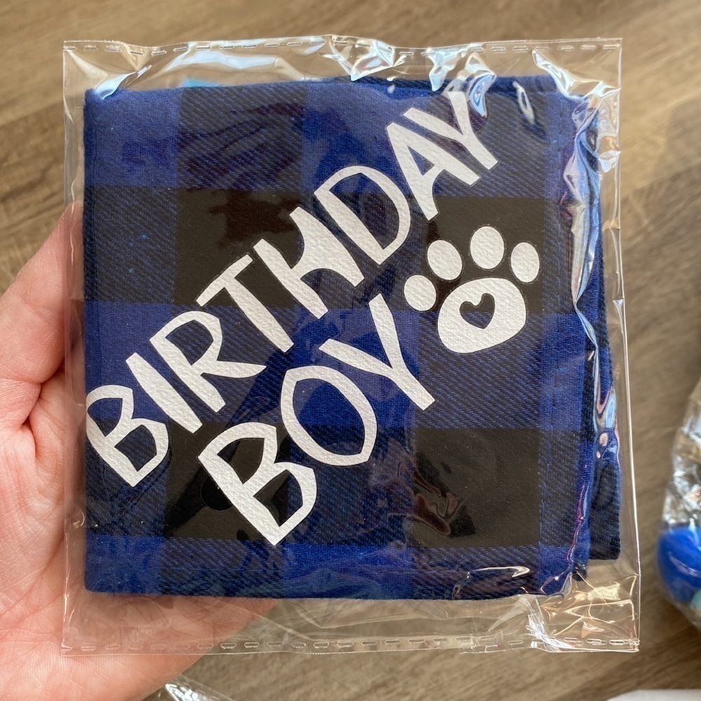 4 for $25 pet birthday decorations (flaw on hat)